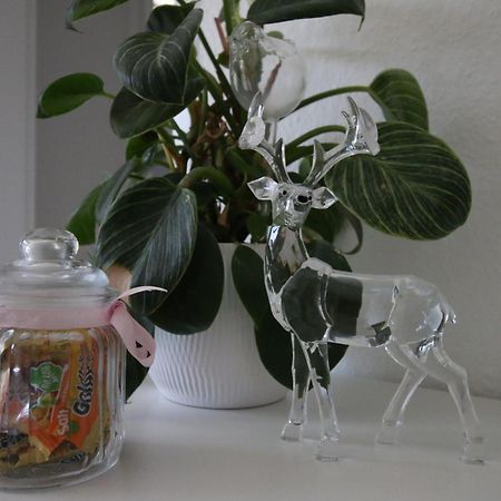 Haus Anna-Marie Apartment Фелдберг Екстериор снимка